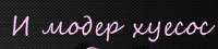 305x69