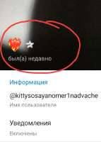 626x874