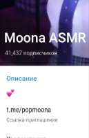 496x765