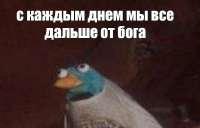 988x634