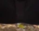167x131