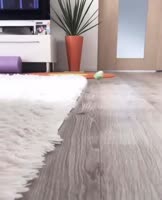 460x566