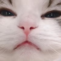 640x640