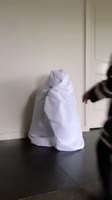 460x816