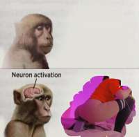 1280x1268