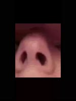 1440x1920