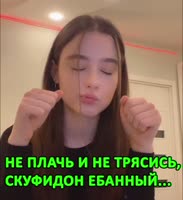540x590