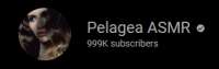 333x105