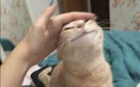 699x435