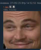 274x333