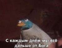 555x429