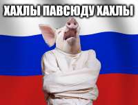 632x485