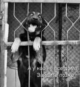 151