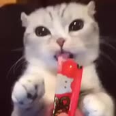 688