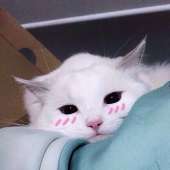 71