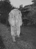 87