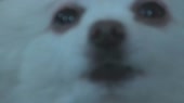 7690