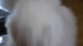 3506