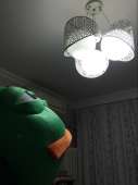 331
