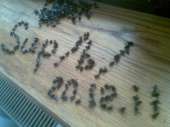 267