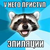 55