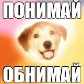 41