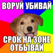 66