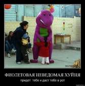51