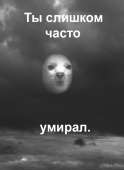 44
