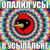 68