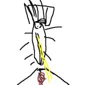 11