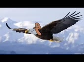 4592