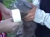 9559