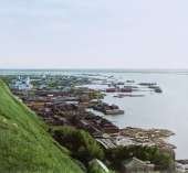 305