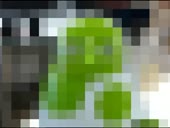4250