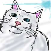 185