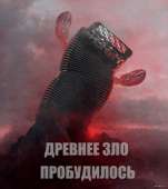 56