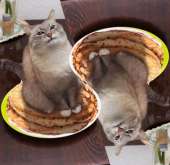 78