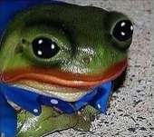 252