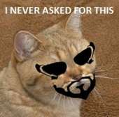 45