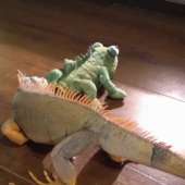 8546
