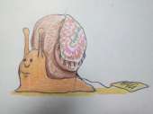 384