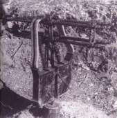 57
