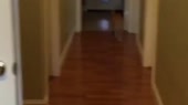 1448