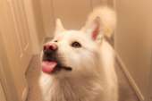 119