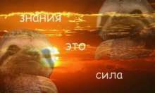 56