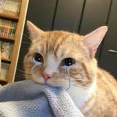 59