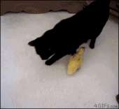 1023