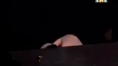 1232