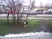 4857